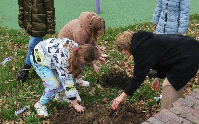 Sadzenie drzew jako sposób na walkę ze zmianami klimatu – FOTO