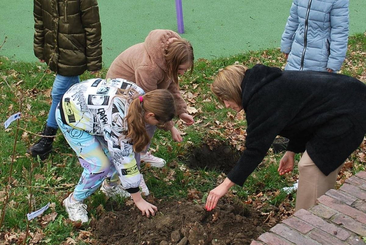 Sadzenie drzew jako sposób na walkę ze zmianami klimatu – FOTO