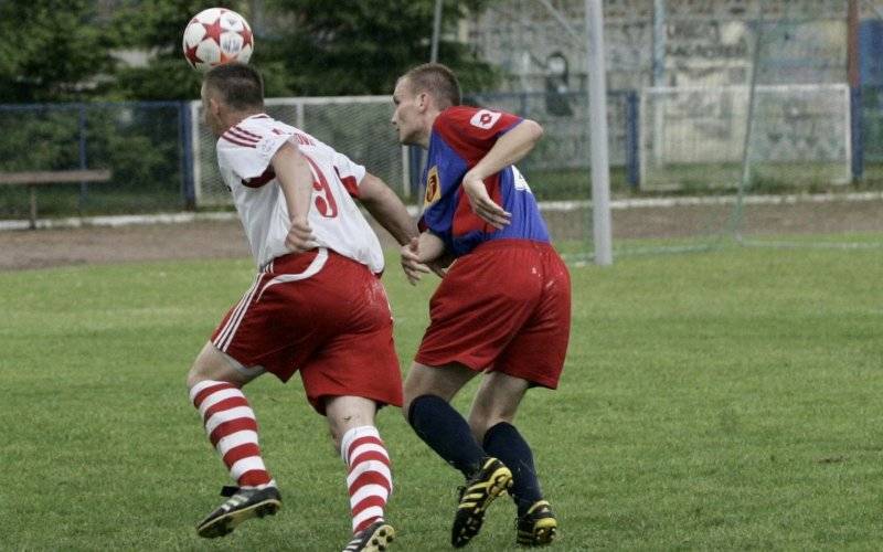 Niwa samodzielnym liderem