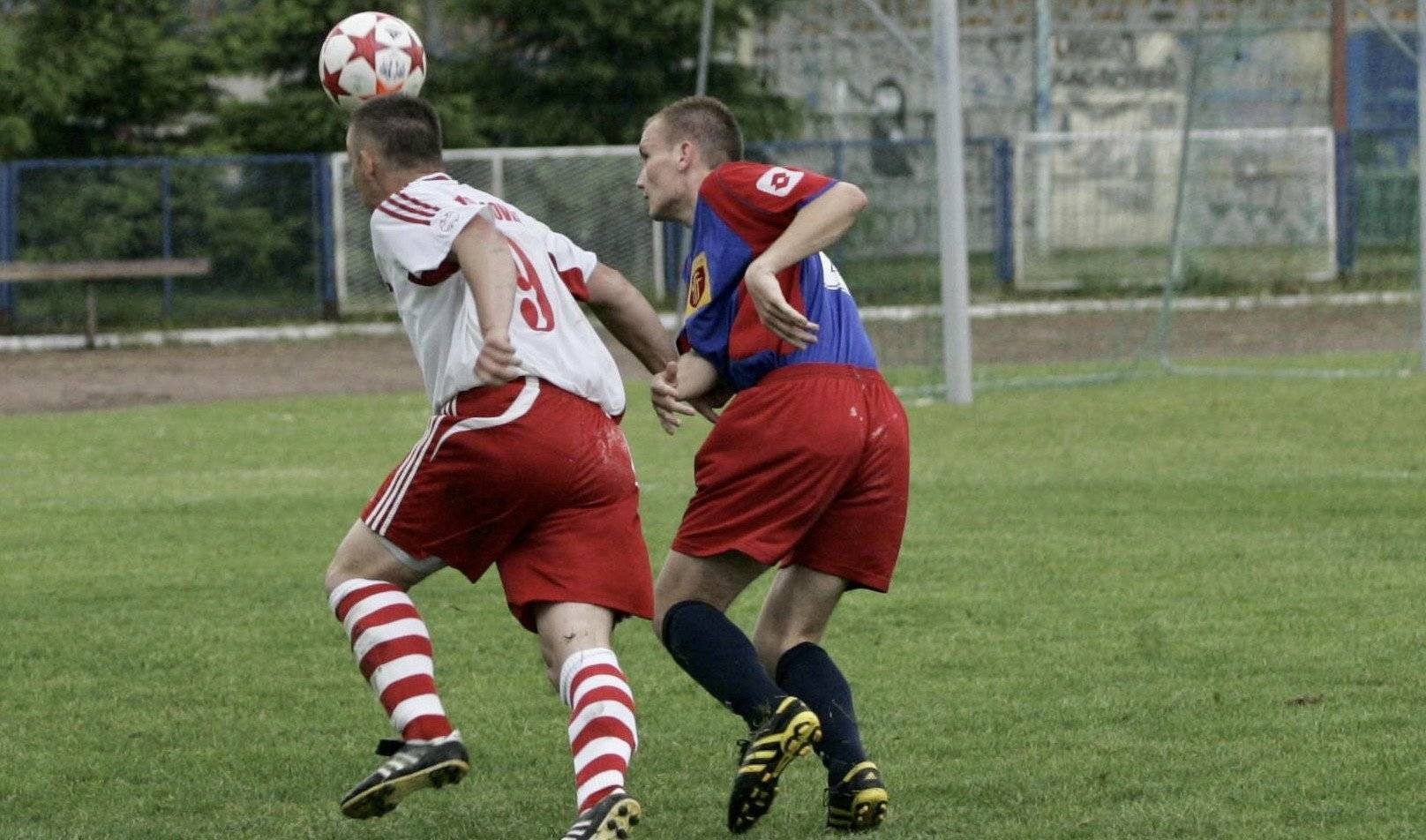 Niwa samodzielnym liderem