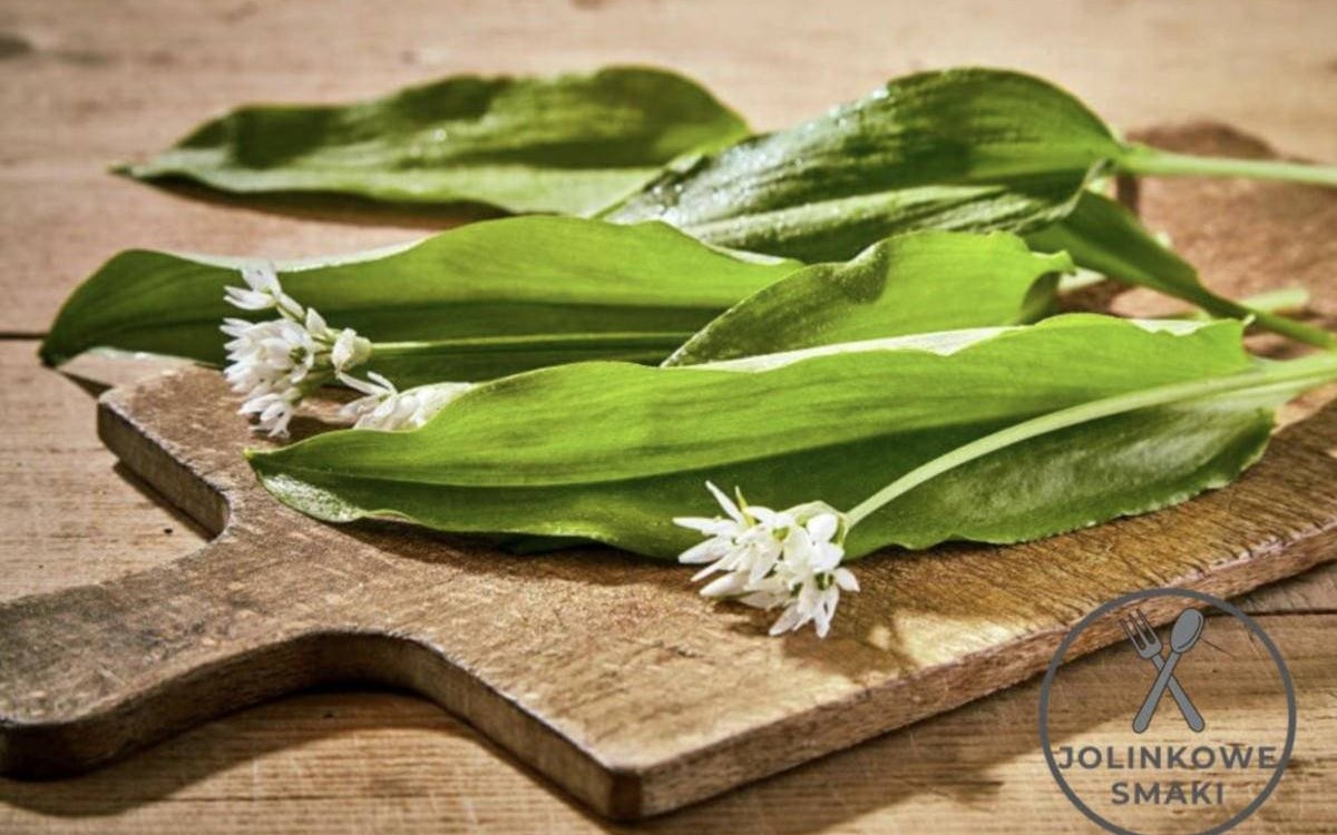 Czosnek niedźwiedzi – dlaczego warto go spożywać?