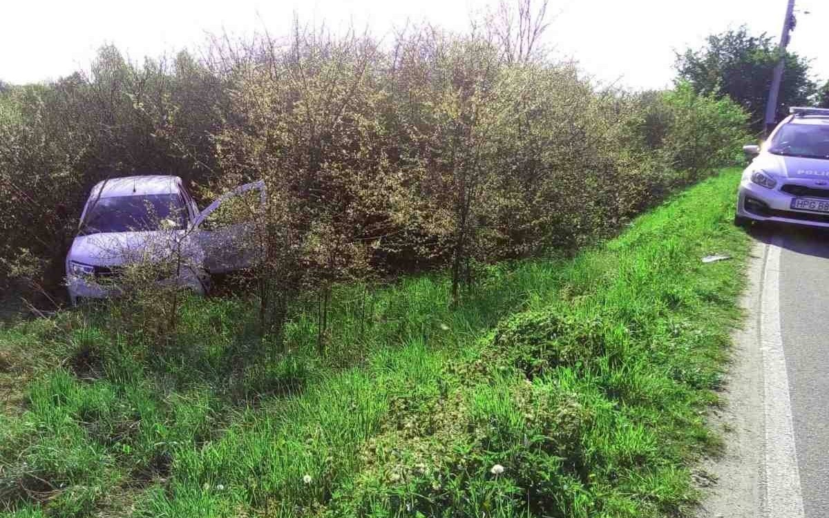 Kierowcy po alkoholu i narkotykach