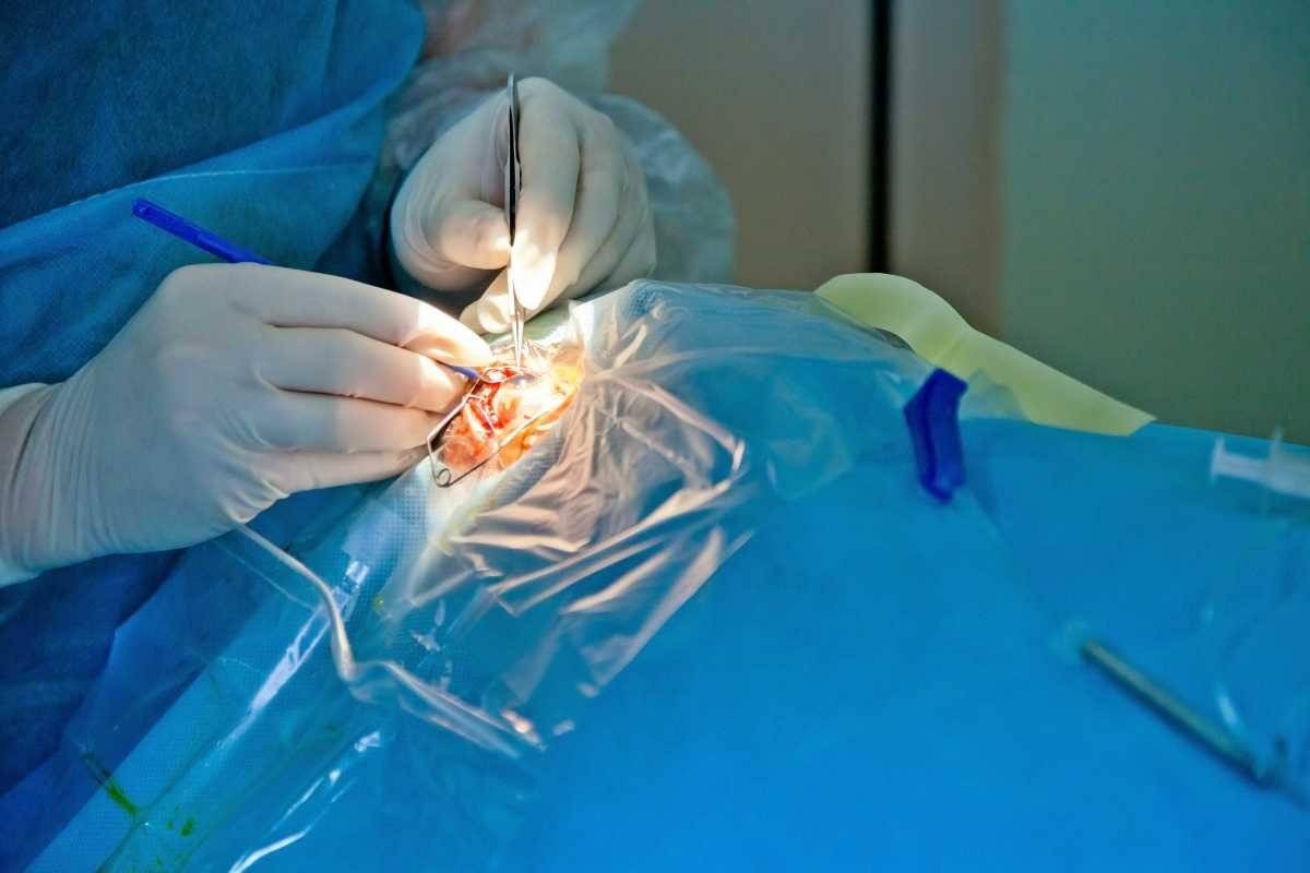 Kolejne trzy małopolskie placówki operują zaćmę