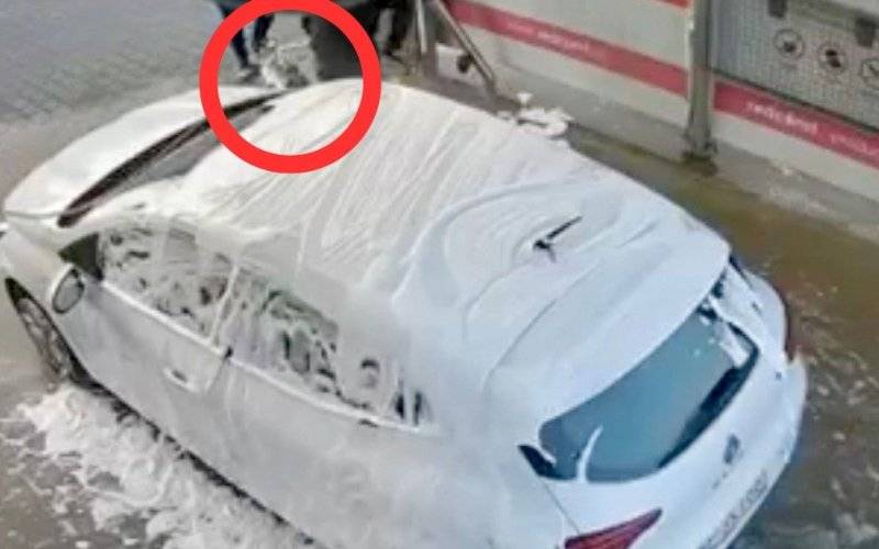 Animalsi i policja o myciu psa na myjni samochodowej