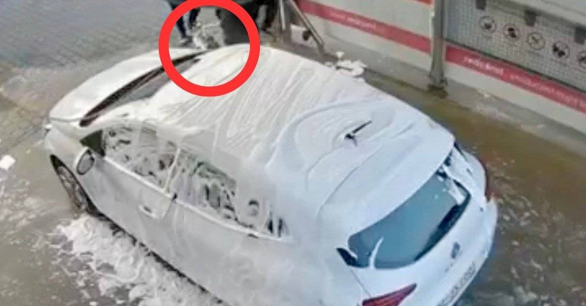 Animalsi i policja o myciu psa na myjni samochodowej