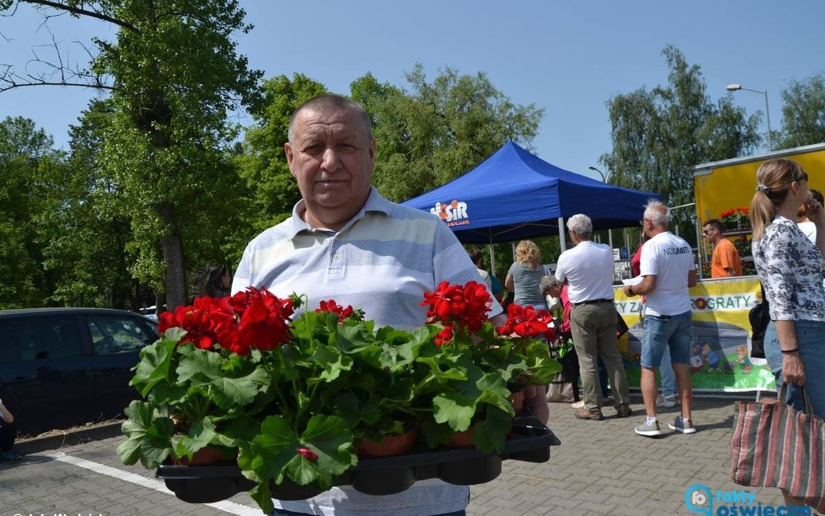Kwiaty za elektrograty hitem ekomajówki – FOTO
