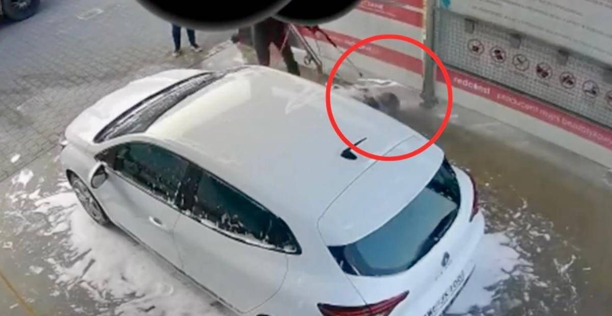 Za mycie psa na myjni może spędzić trzy lata w więzieniu