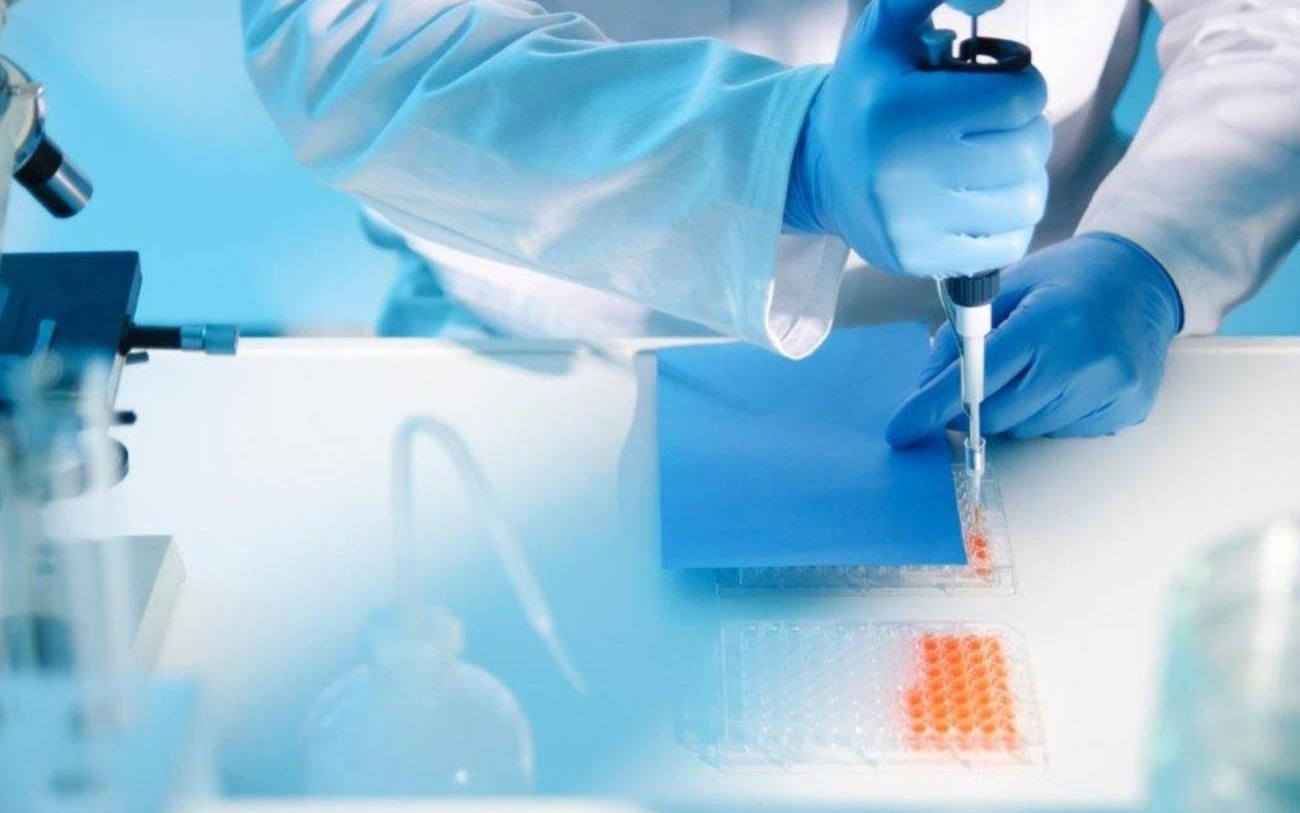 Promują metody alternatywne będące ratunkiem dla zwierząt laboratoryjnych