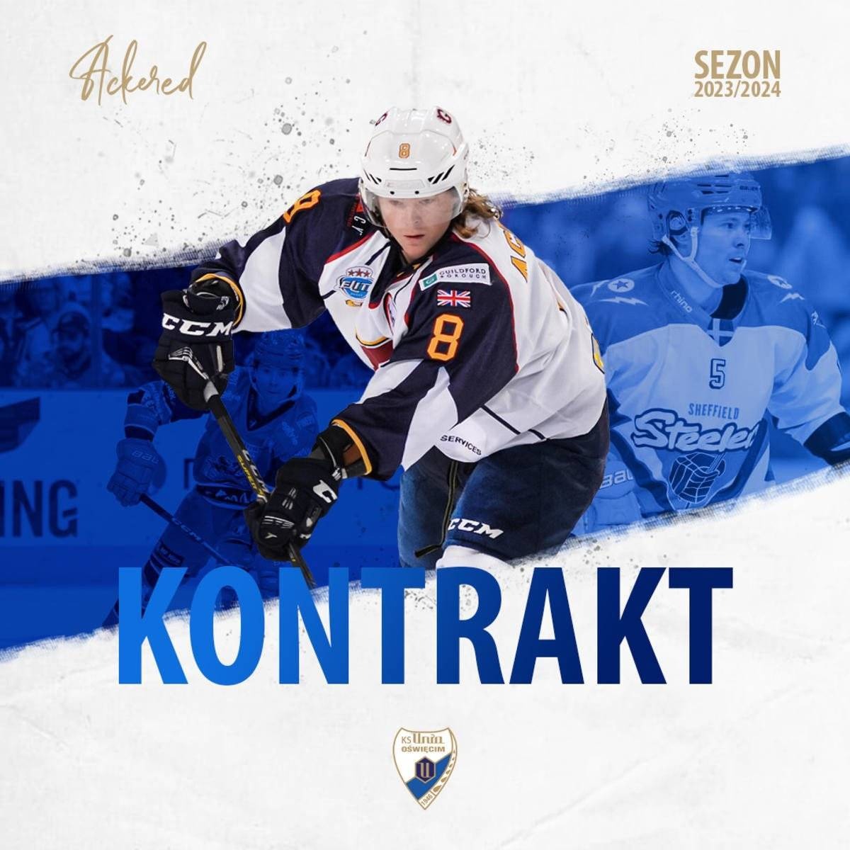 Skandynawska kolonia przy Chemików