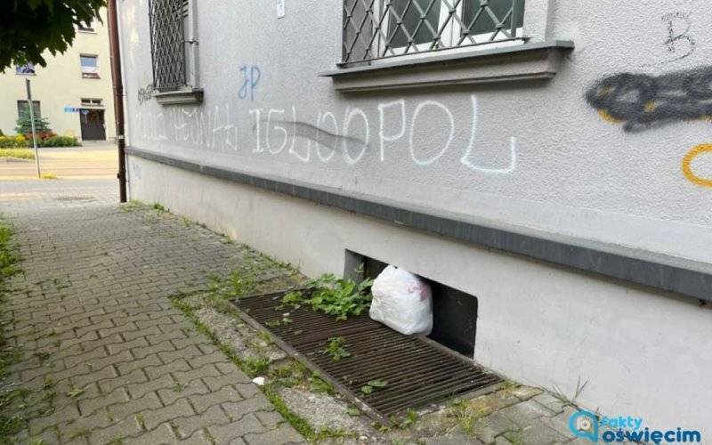 Śmieci czekały na sprzątnięcie przez sześć tygodni – FOTO