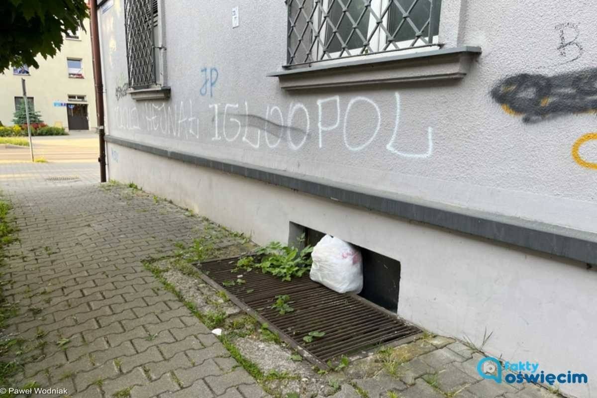 Śmieci czekały na sprzątnięcie przez sześć tygodni – FOTO