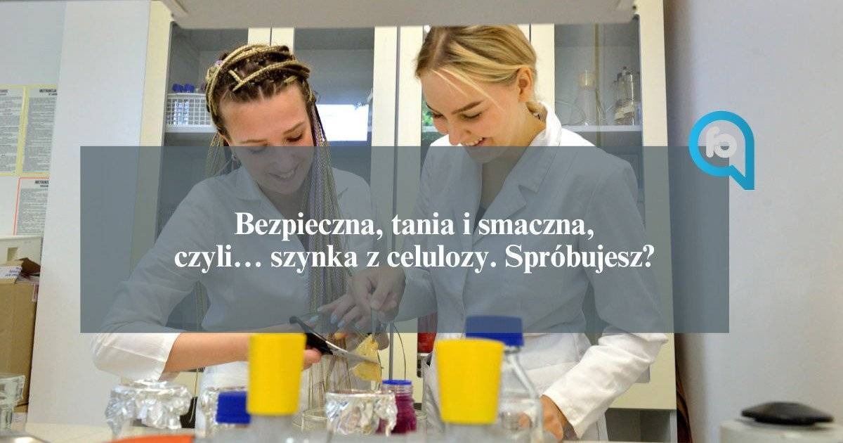 Bezpieczna, tania i smaczna, czyli… szynka z celulozy