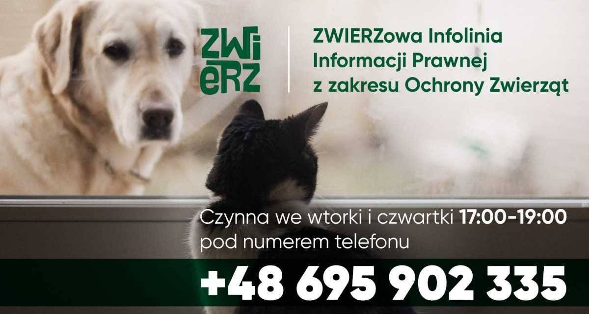 ZWIERZowa Infolinia Bezpłatnej Informacji Prawnej