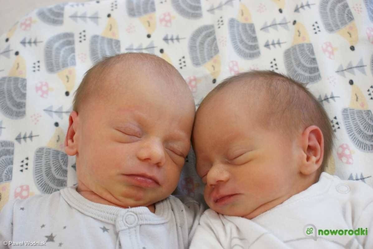 Noworodkowa galeria eFO – FOTO