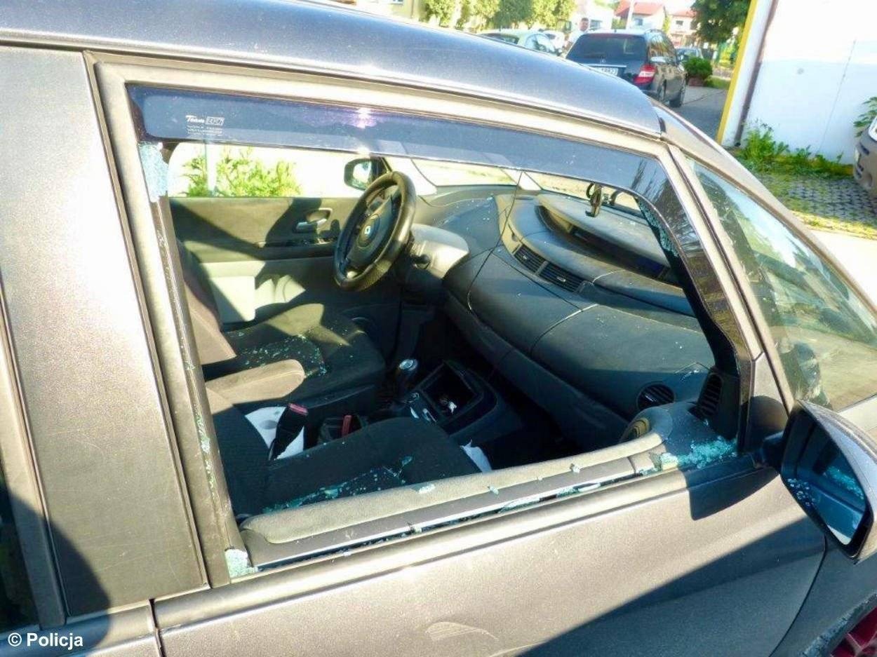 Dwa psy w nagrzanym samochodzie. Zwierzęta były wycieńczone – FOTO