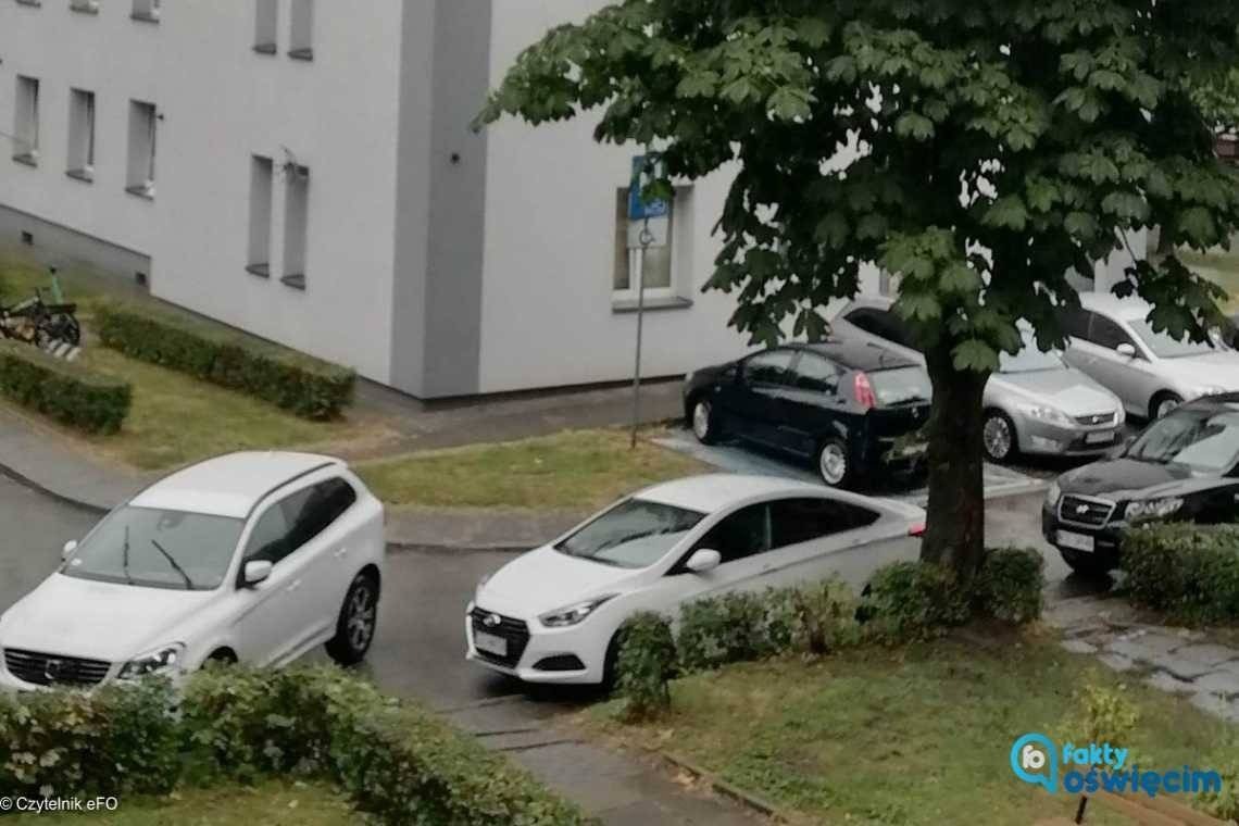 Jak skutecznie zablokować drogę? – FOTO