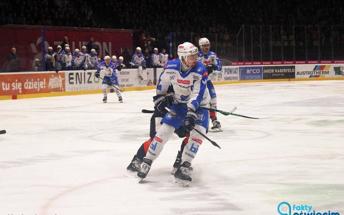 Udane polowanie na Sokoły