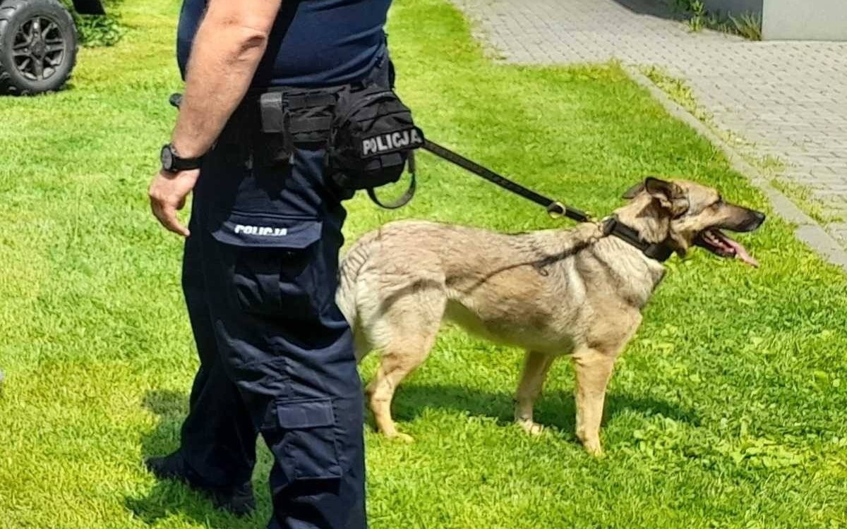 Miał dwa promile i siedmiolatka pod opieką