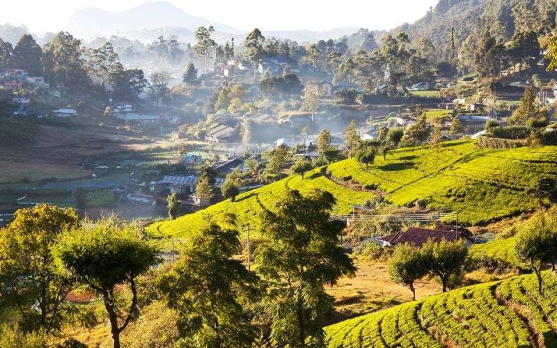 Sri Lanka – kiedy jechać