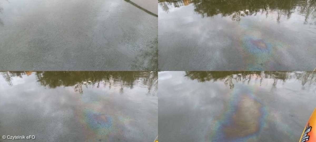 Ropa i śnięte ryby w byłej żwirowni w Broszkowicach – FILM