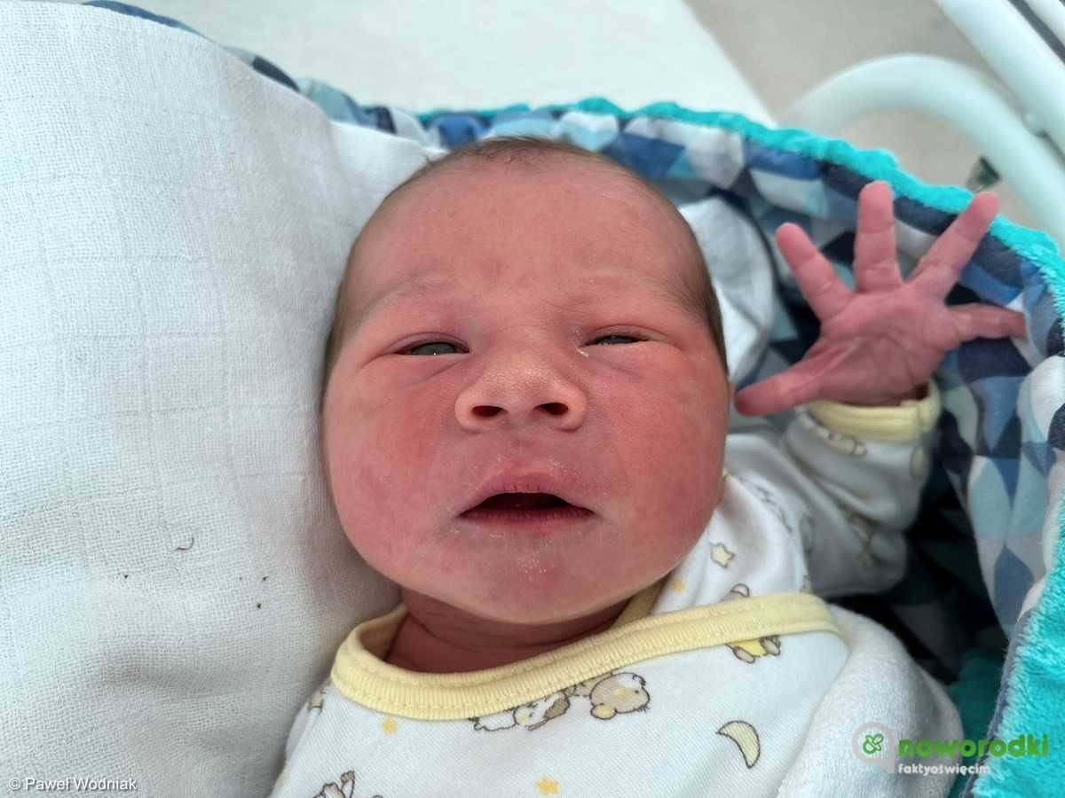 Noworodkowa galeria eFO – FOTO