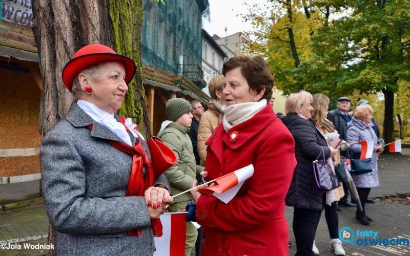 Parada Niepodległości w grodzie nad Sołą – FILM, FOTO