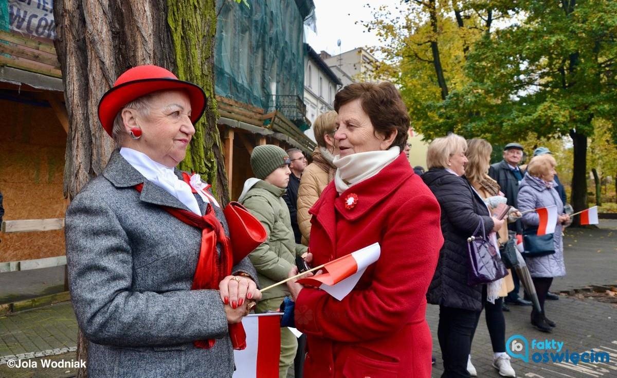 Parada Niepodległości w grodzie nad Sołą – FILM, FOTO
