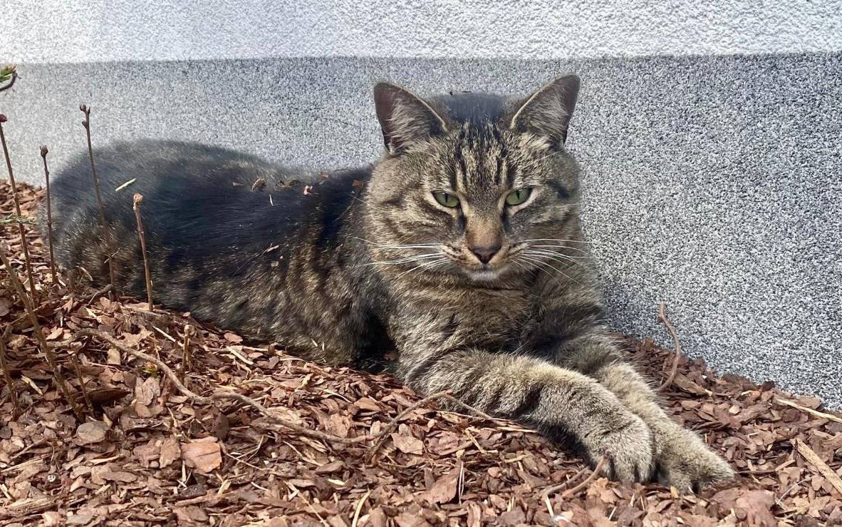 Ktoś widział Ginger? – FOTO