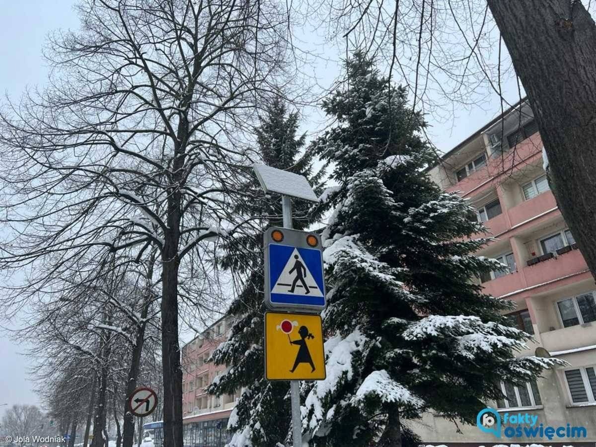 Czy fotowoltaika na znakach drogowych ma sens? – FOTO