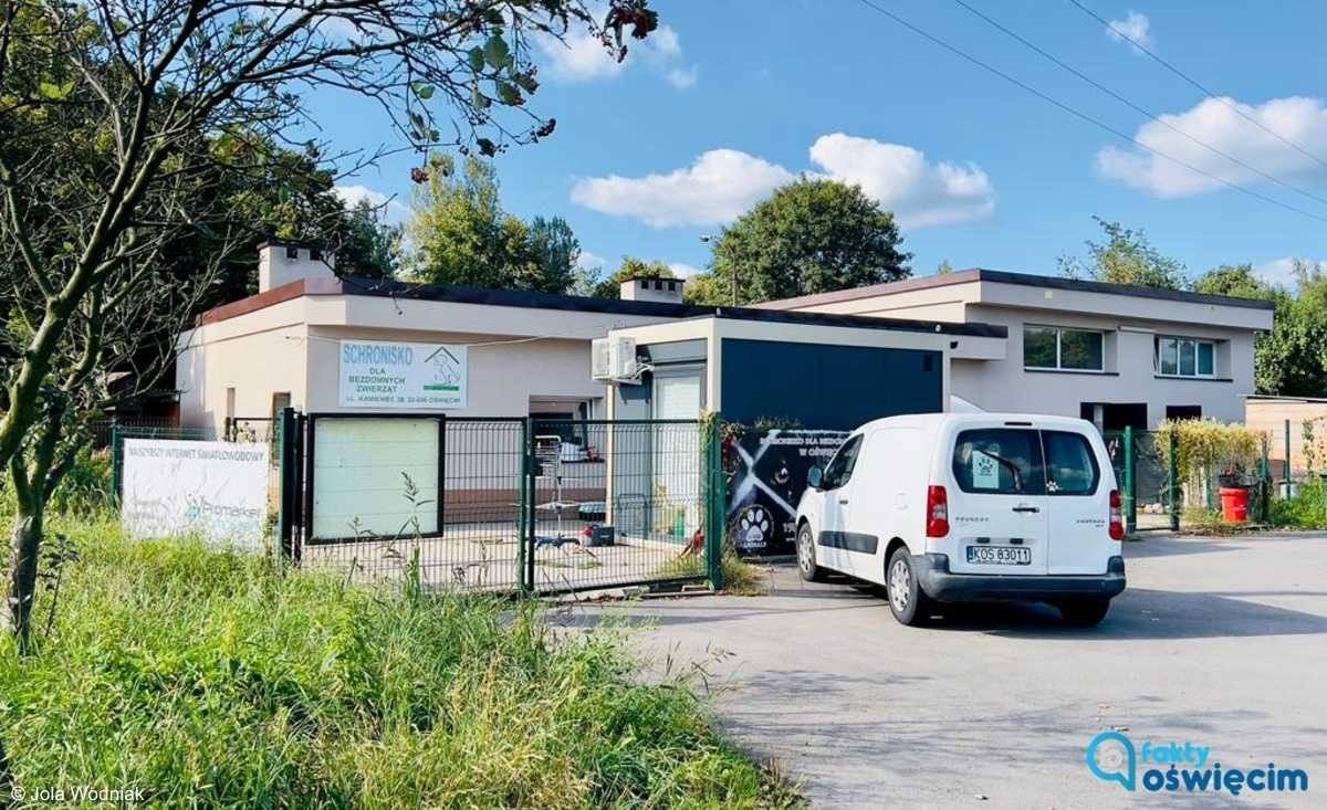 Miasto zapewnia o kontynuacji programu adopcji zwierząt