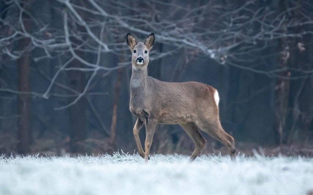 Pochmurna niedziela z delikatnym przebłyskiem ciepła