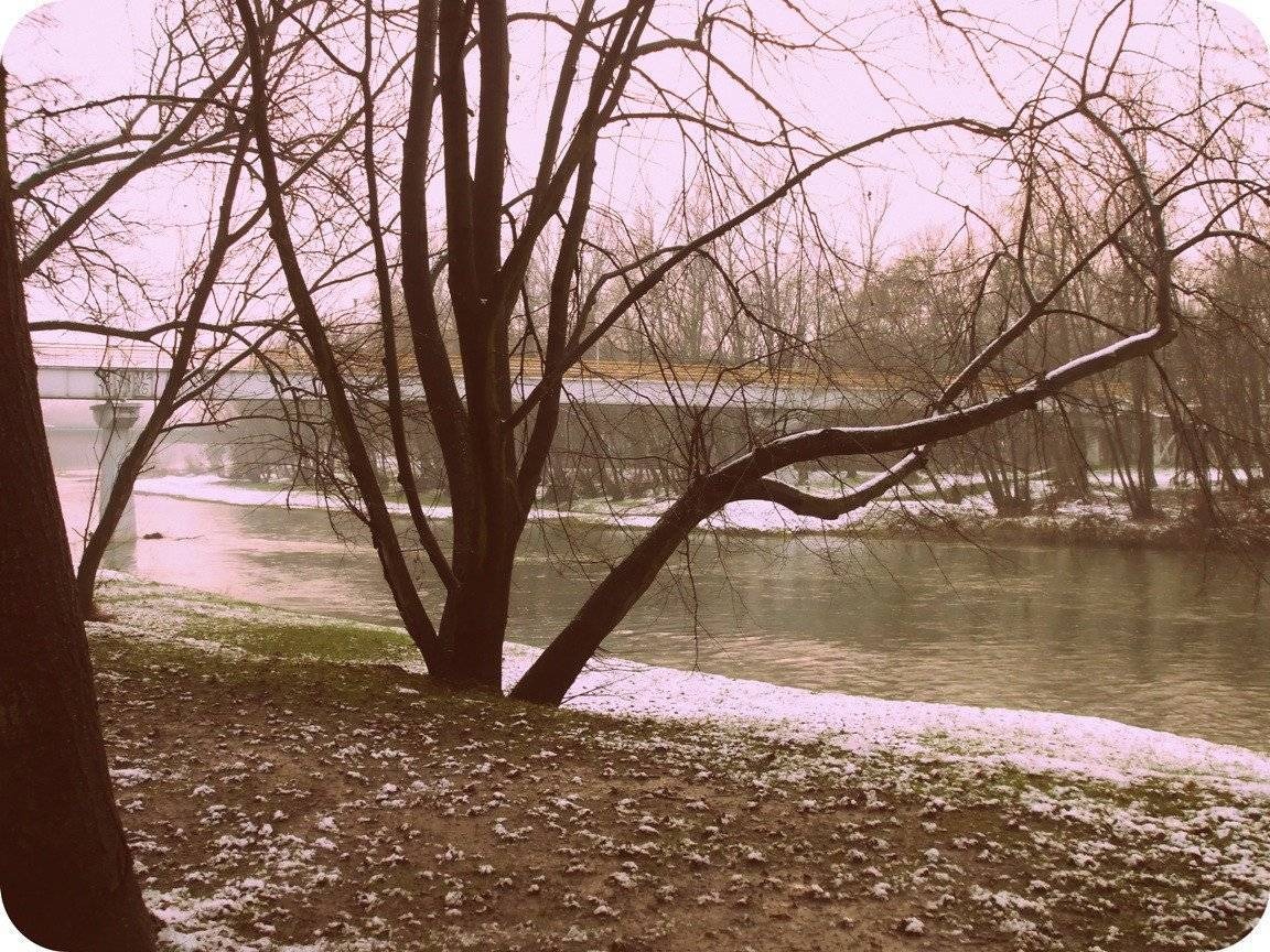 Świąteczne dni będą pochmurne i wietrzne