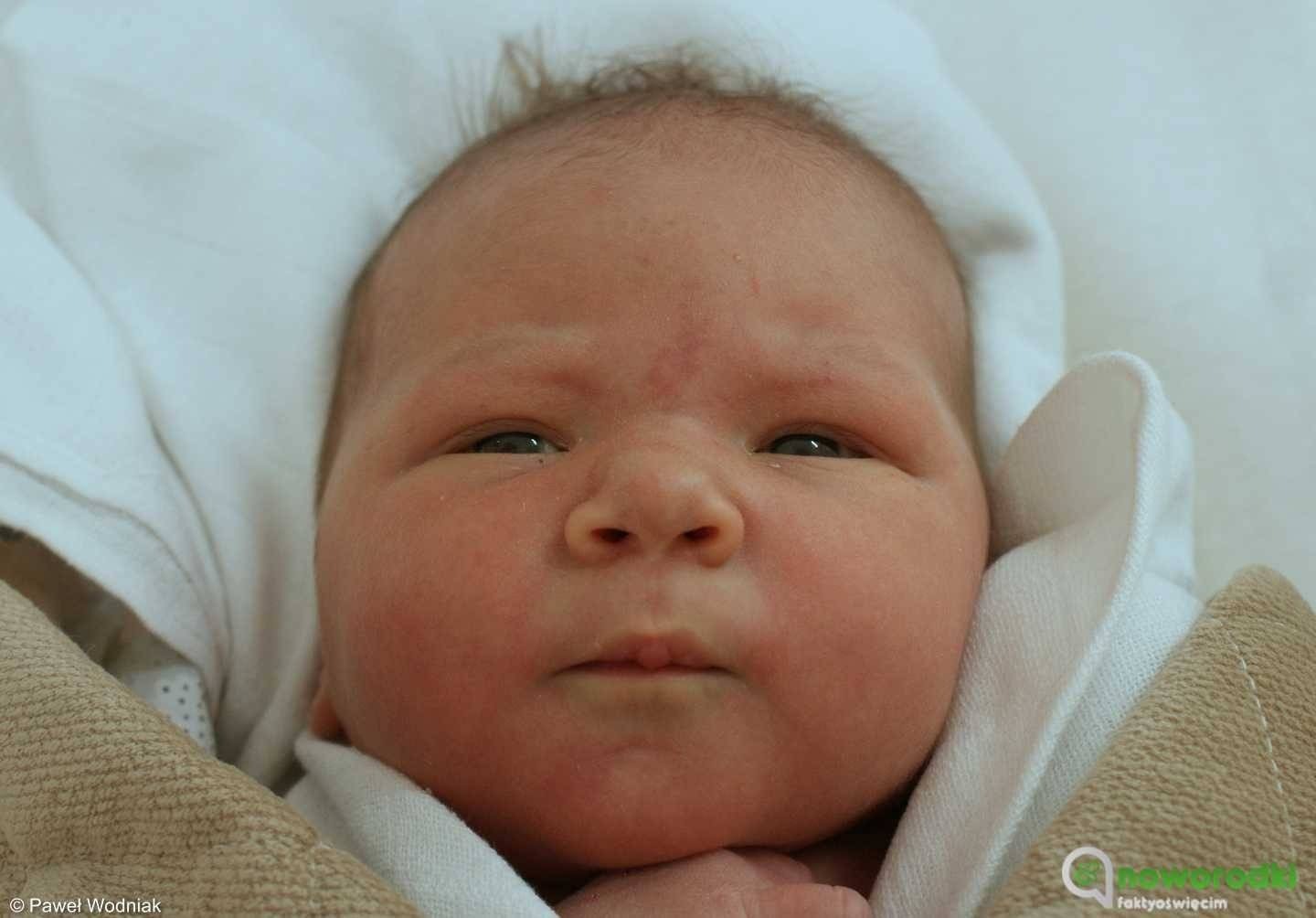 Noworodkowa galeria Faktów Oświęcim – FOTO