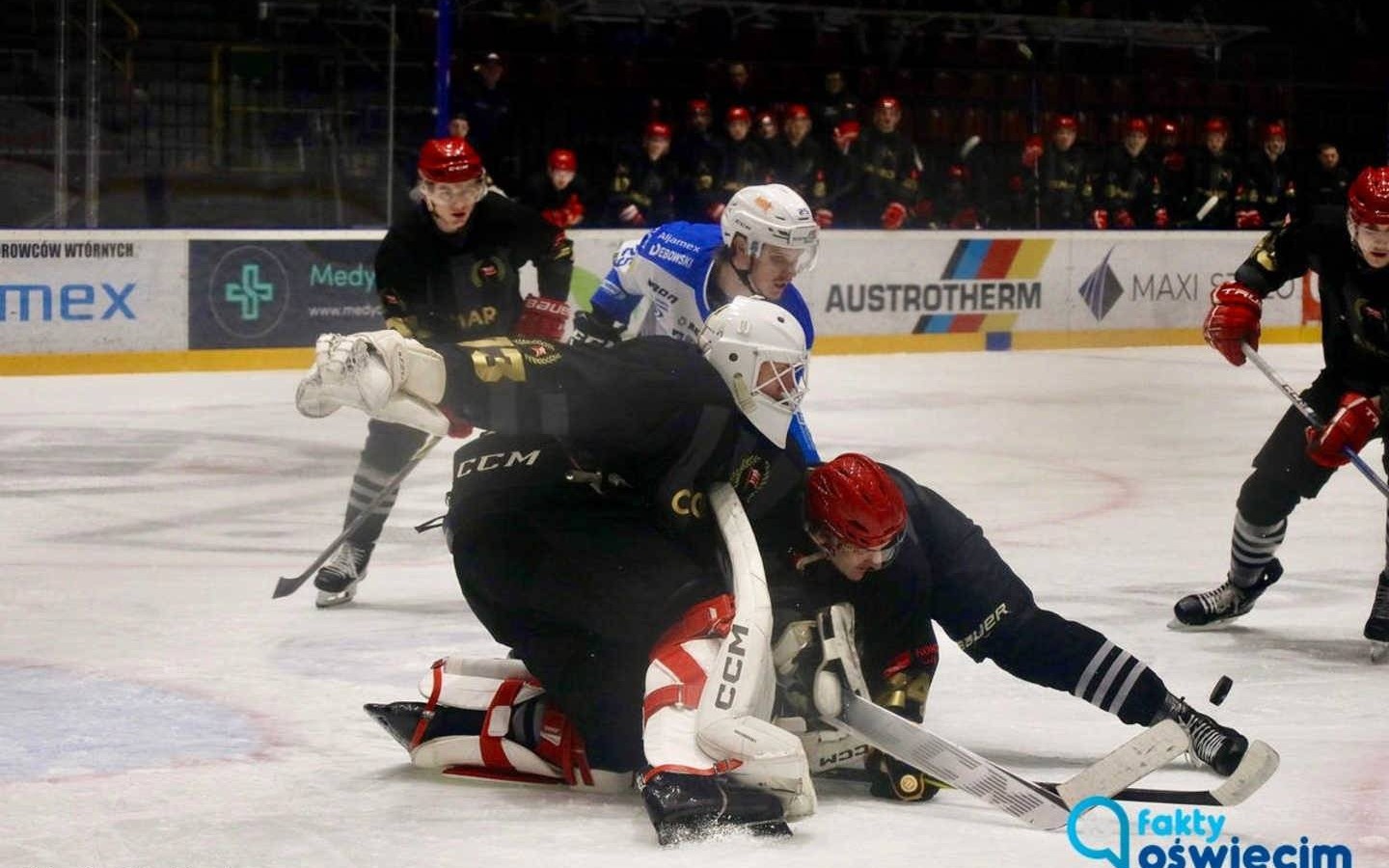 Jastrzębie i Pasy na rozkładzie 