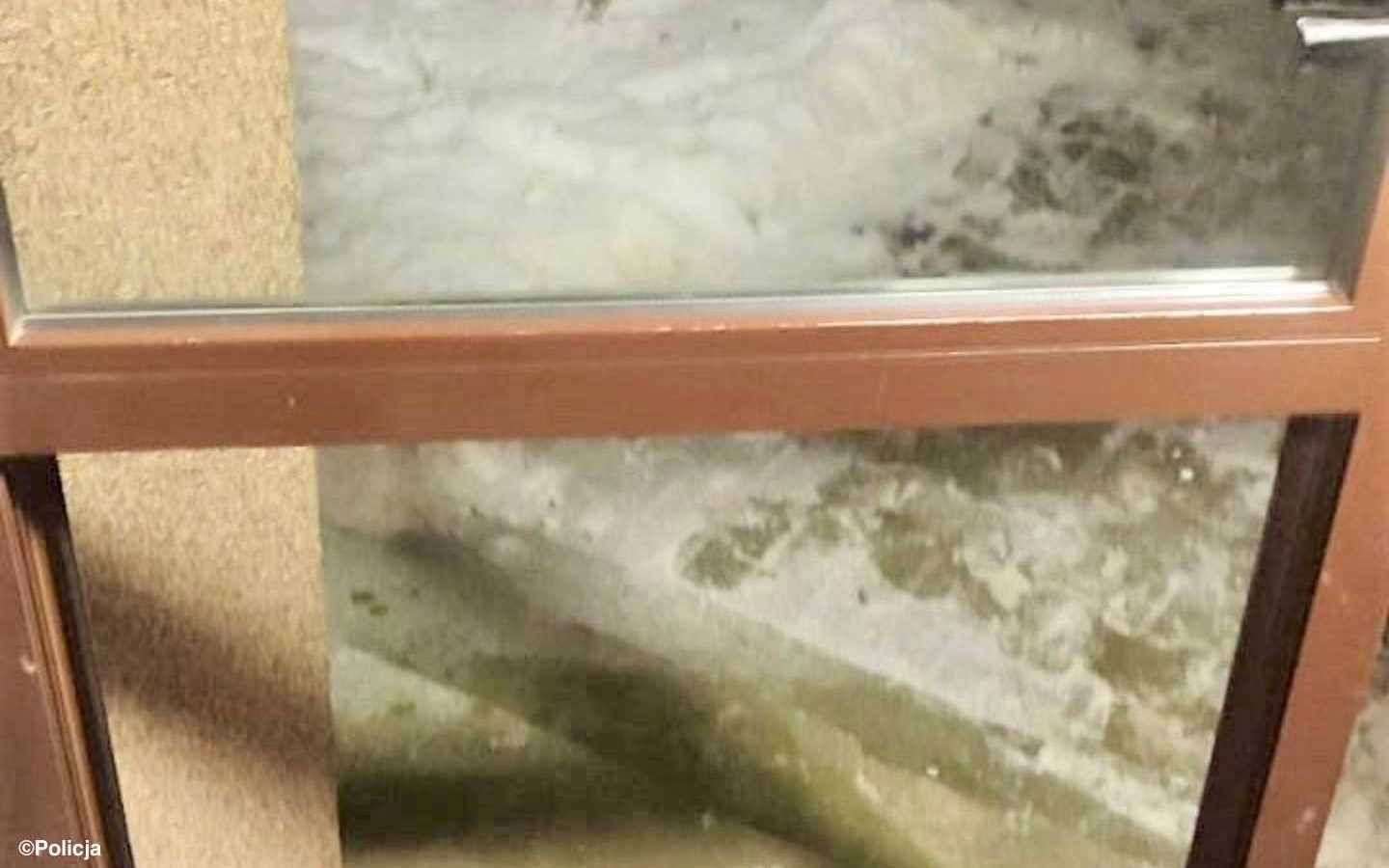 Wybił szybę. Szybko wpadł w ręce policji