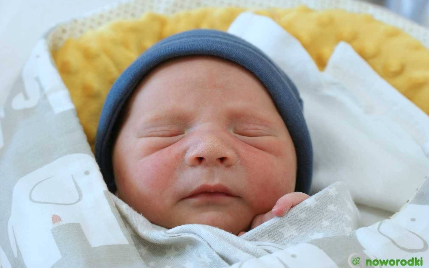 Noworodkowa galeria Faktów Oświęcim – FOTO