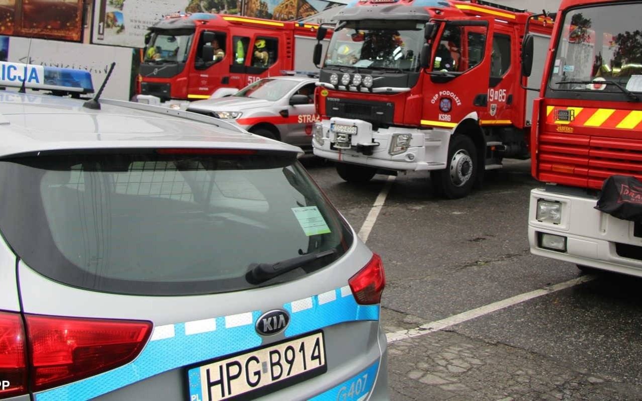 Zagubiła się wracając ze sklepu