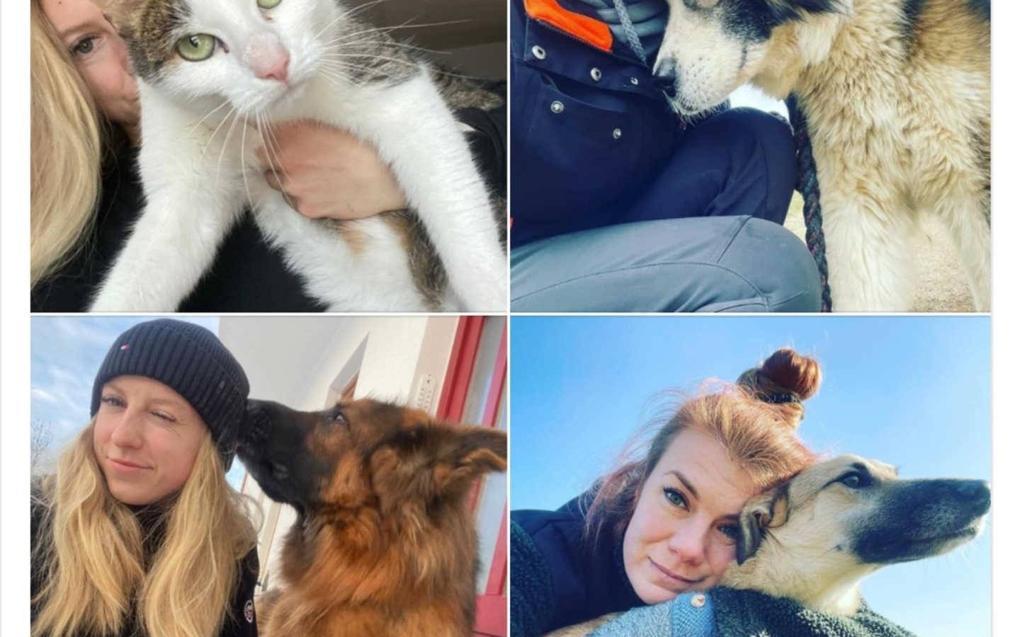 Pozytywne Cztery Łapy, czyli akcja pomocy zwierzaczkom