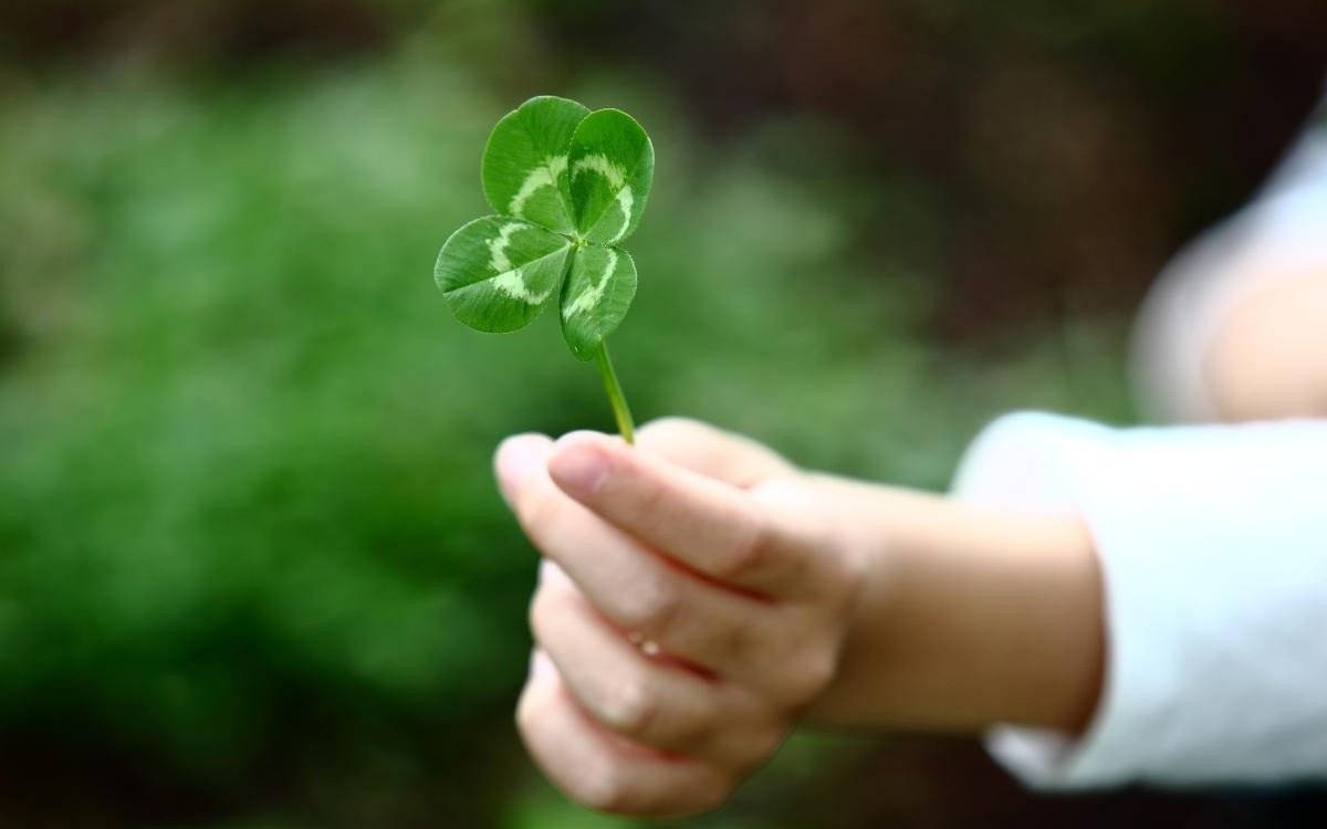 Tradycyjne formy rozrywki ustępują miejsca nowoczesnym trendom