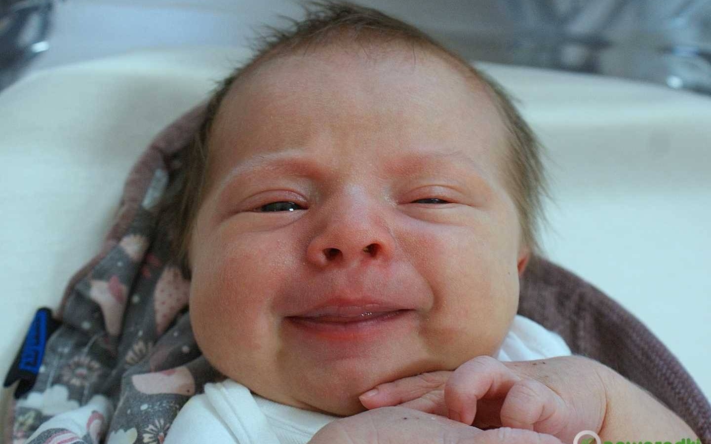 Noworodkowa galeria Faktów Oświęcim – FOTO