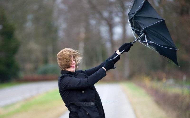 Ciepło, deszczowo i bardzo wietrznie