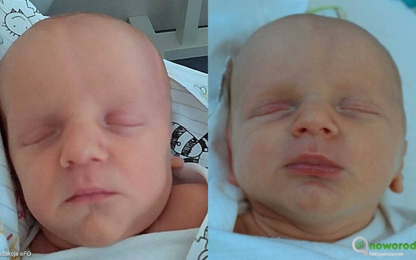 Noworodkowa galeria Faktów Oświęcim – FOTO