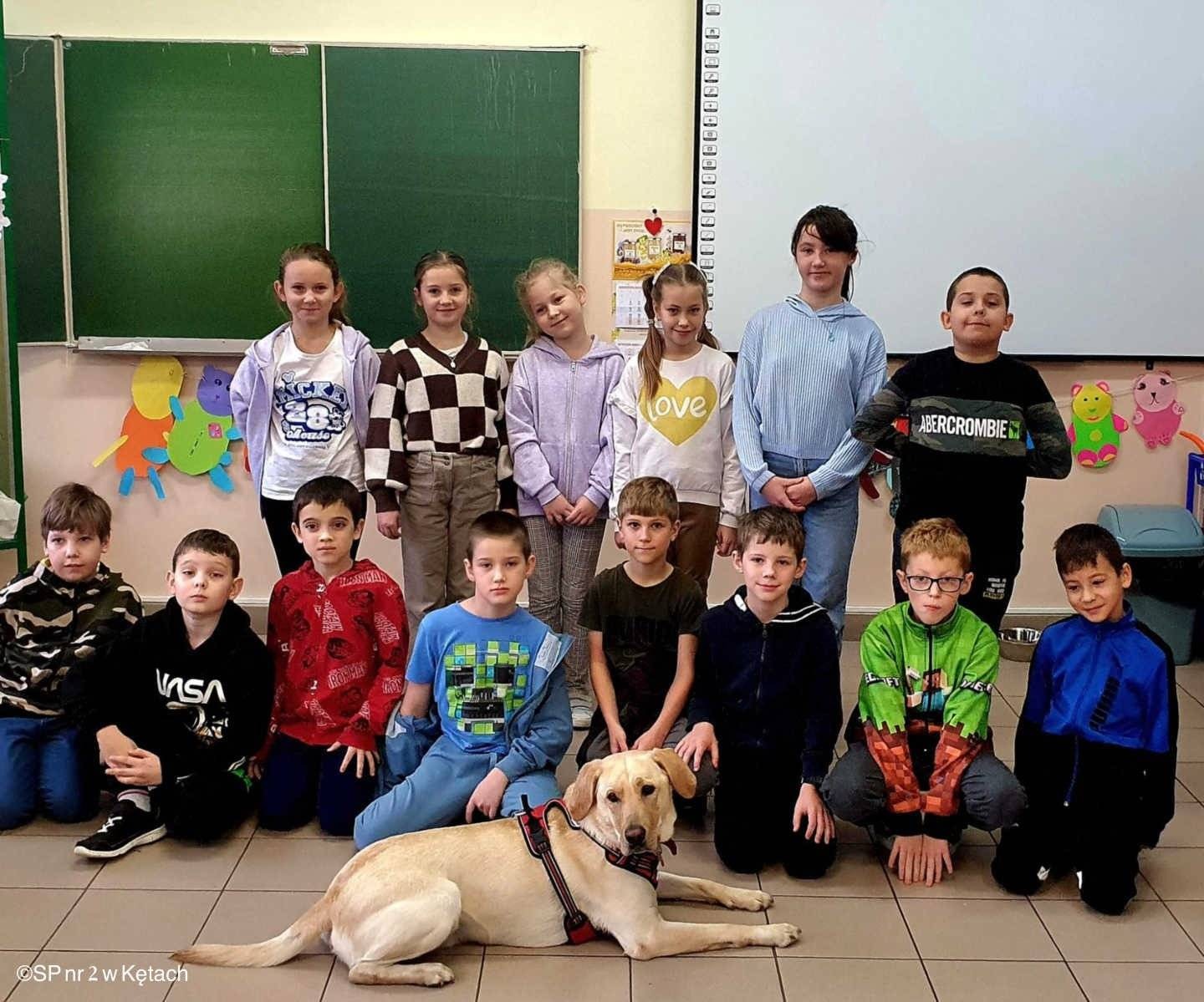 Czworonożny nauczyciel: Innowacyjne lekcje z Wallym – FOTO