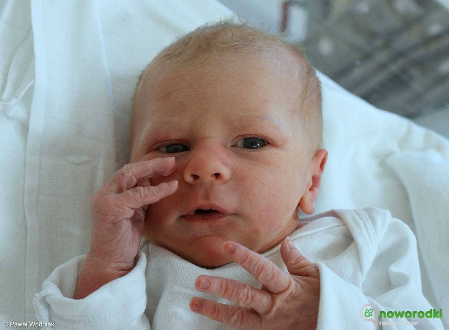 Noworodkowa galeria Faktów Oświęcim – FOTO