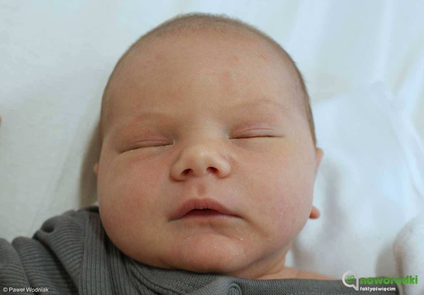 Noworodkowa galeria Faktów Oświęcim – FOTO