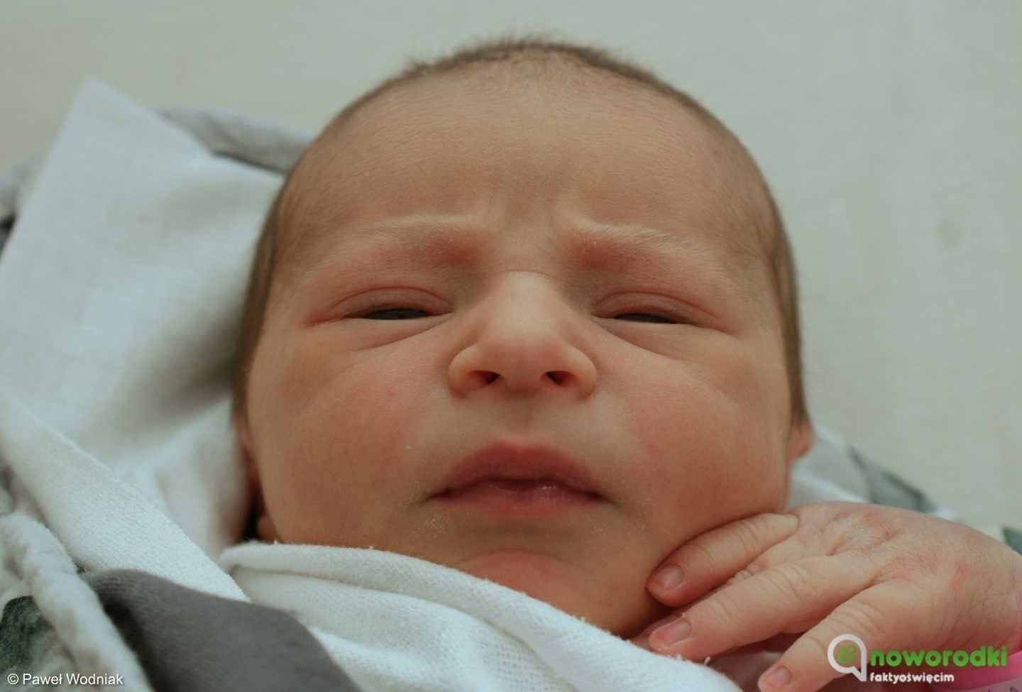 Noworodkowa galeria Faktów Oświęcim – FOTO