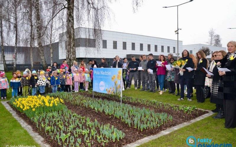 Pola Nadziei: Wspólna inicjatywa dla hospicjum – FILM, FOTO