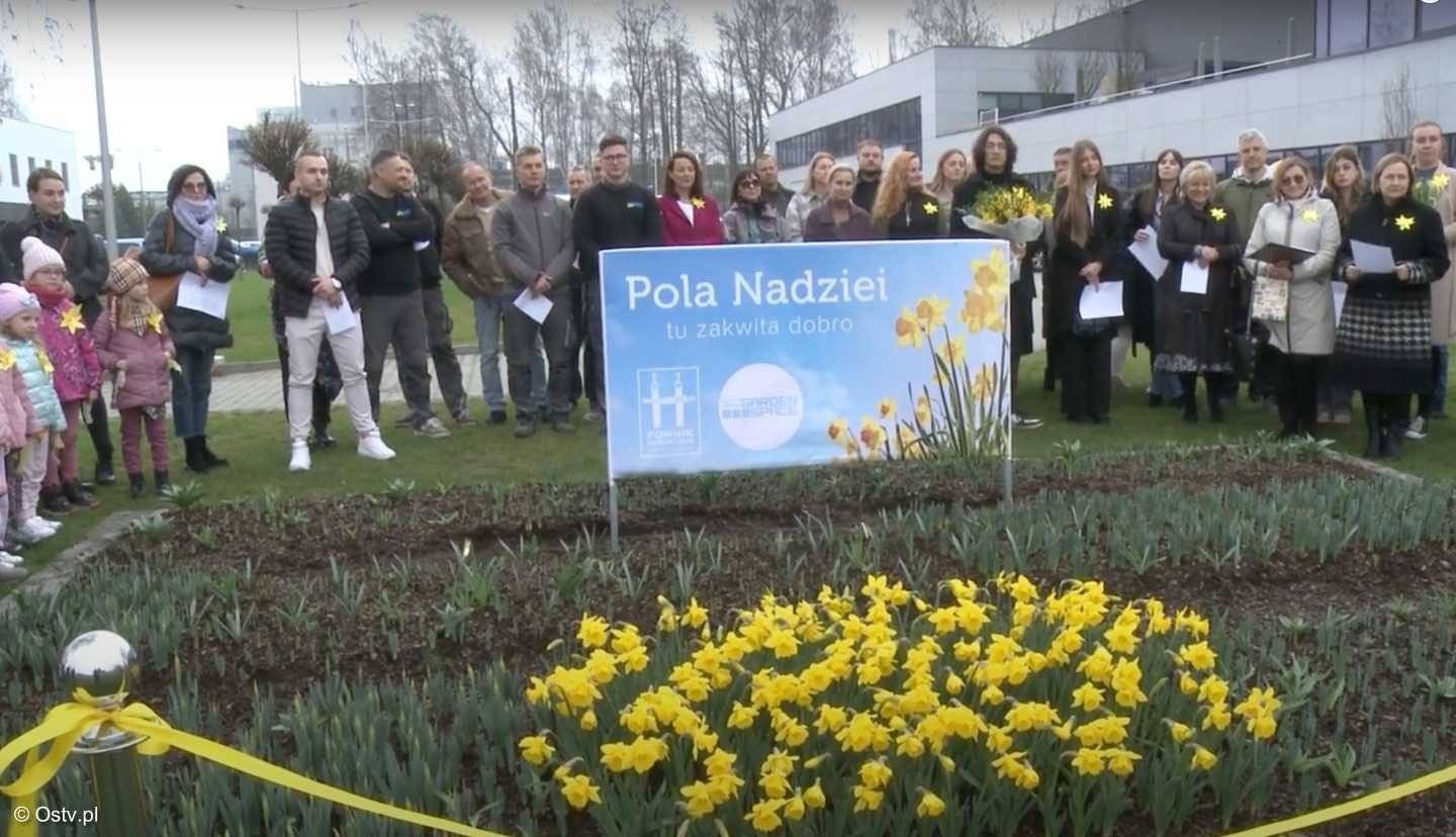 Oświęcimskie Wieści z ratusza – FILM