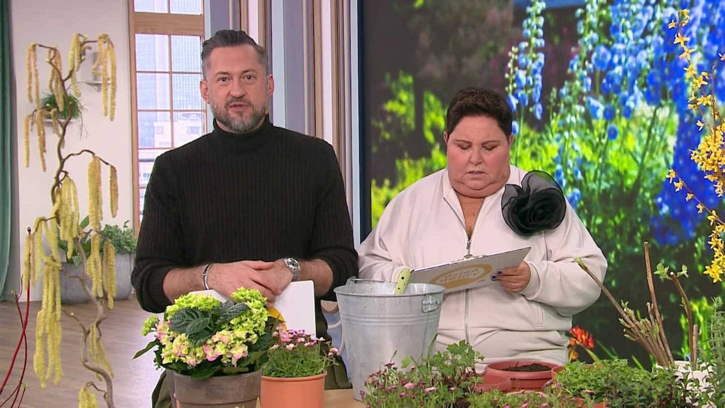 Wiosna w ogrodzie: Rozmnażanie roślin – FILM