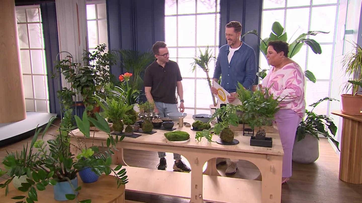 Kokedama – jak zrobić wiszący ogród? – FILM